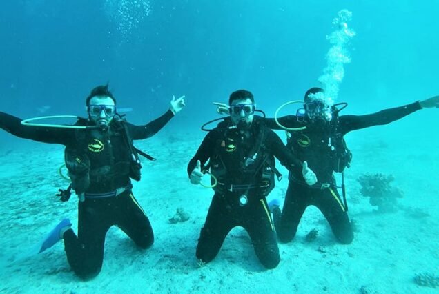 Diving trip