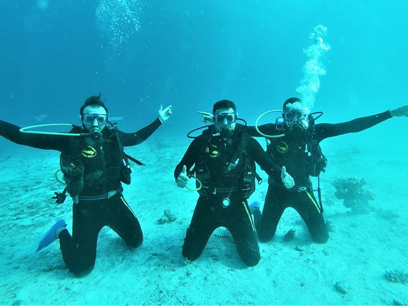 Diving trip