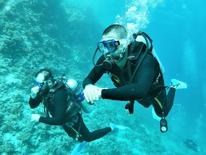 ORANGE BAY - الصورة 2